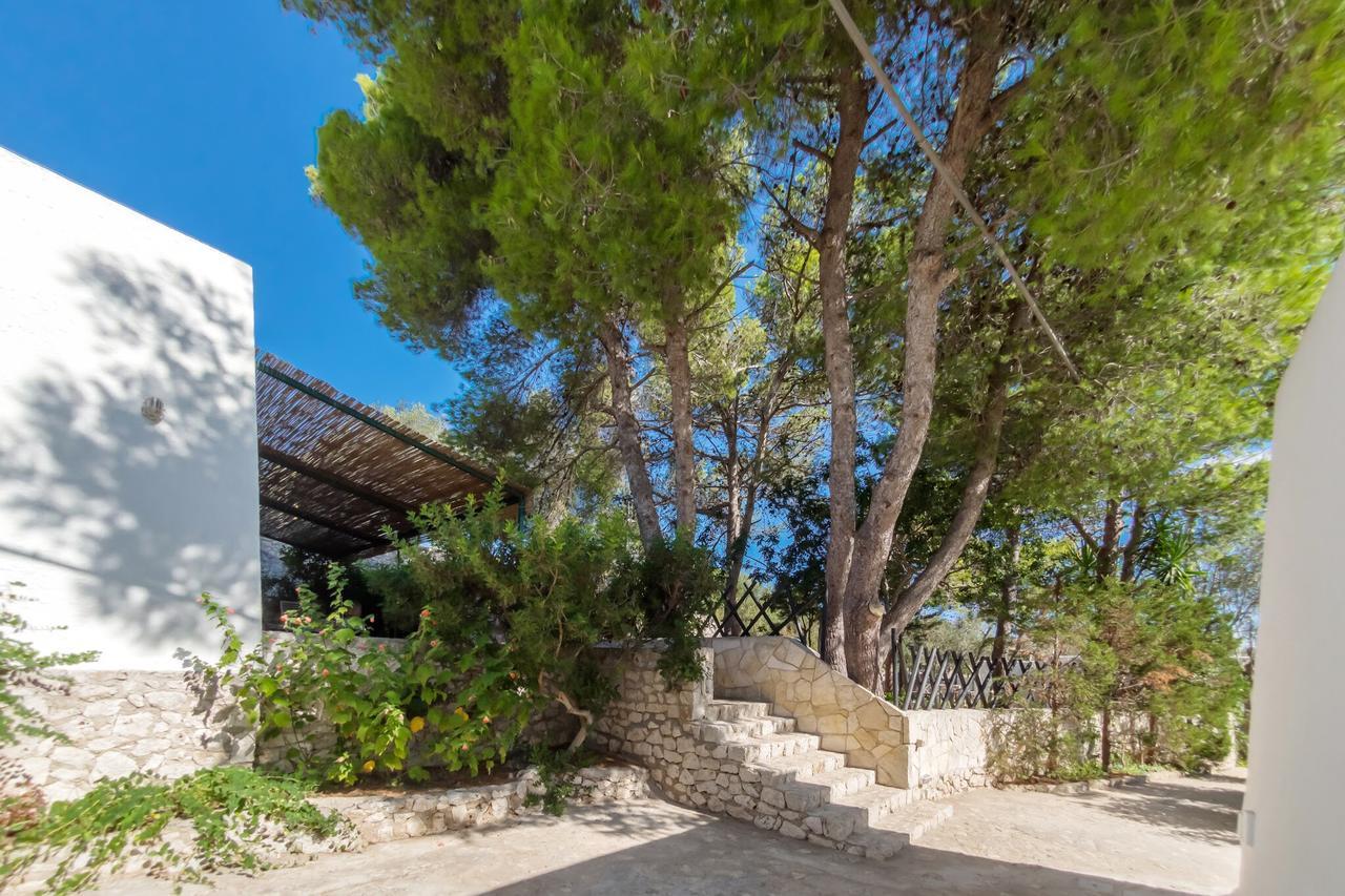 Апартаменты Residenza La Cicala Castro  Номер фото